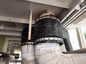 Gas turbine through Wall expansion joint